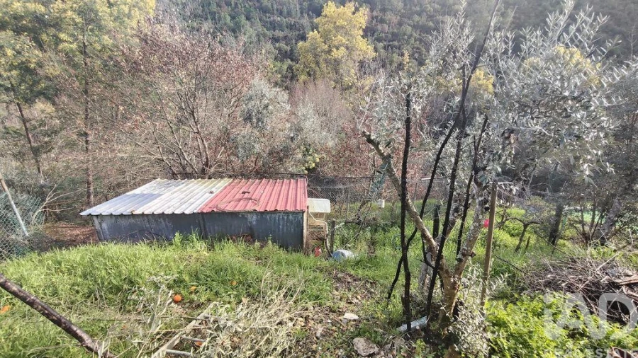 Moradia T4 para Venda em Alvares Foto 27