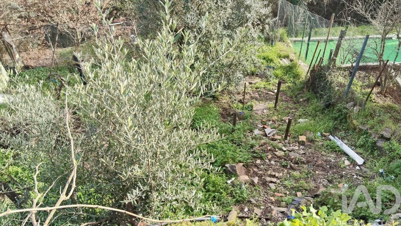 Moradia T4 para Venda em Alvares Foto 29