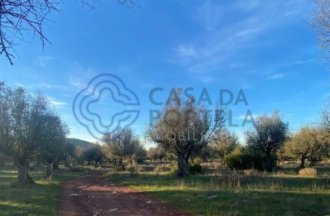 Terreno para Venda em Sousel Foto 15