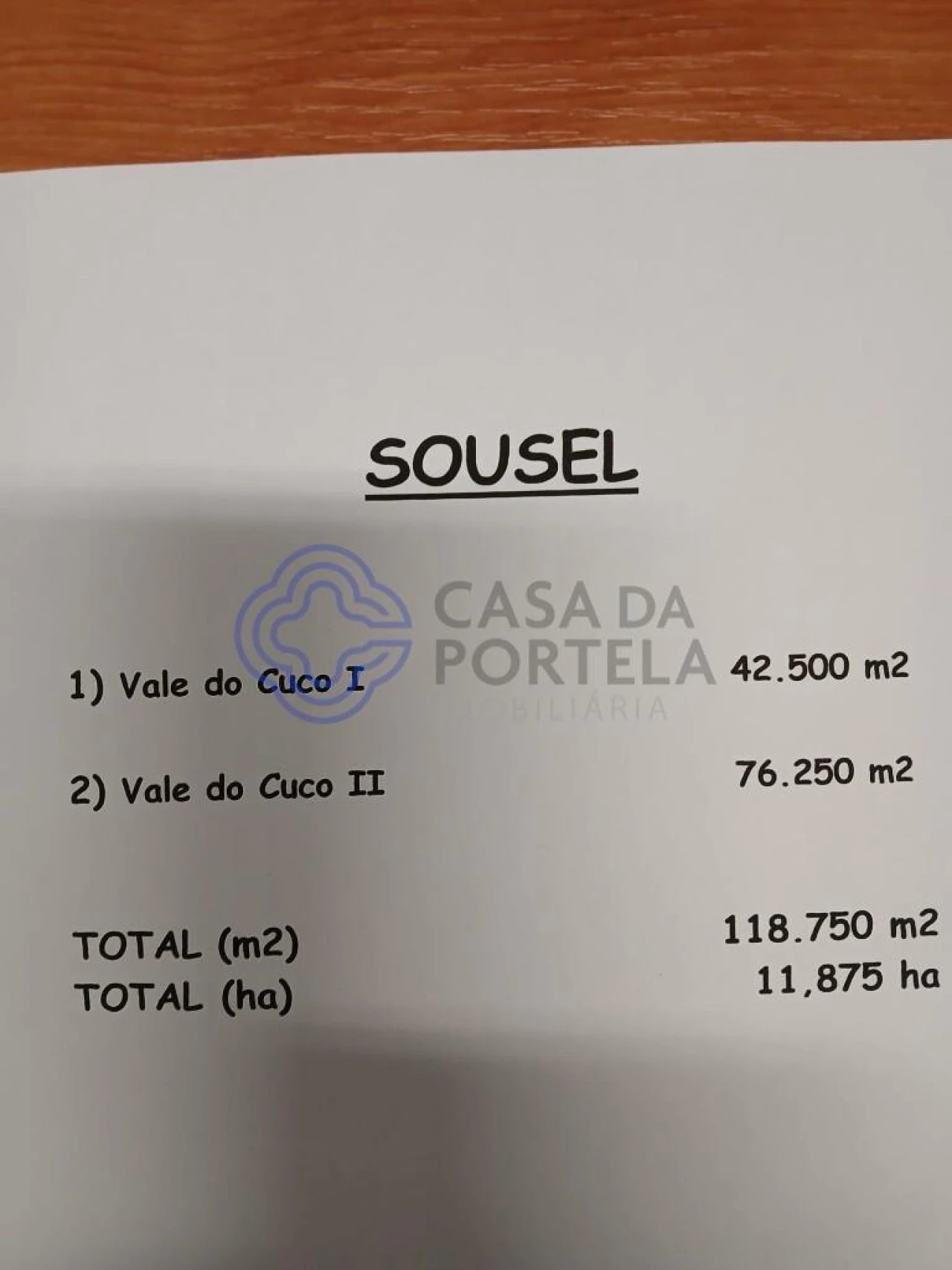 Terreno para Venda em Sousel Foto 25