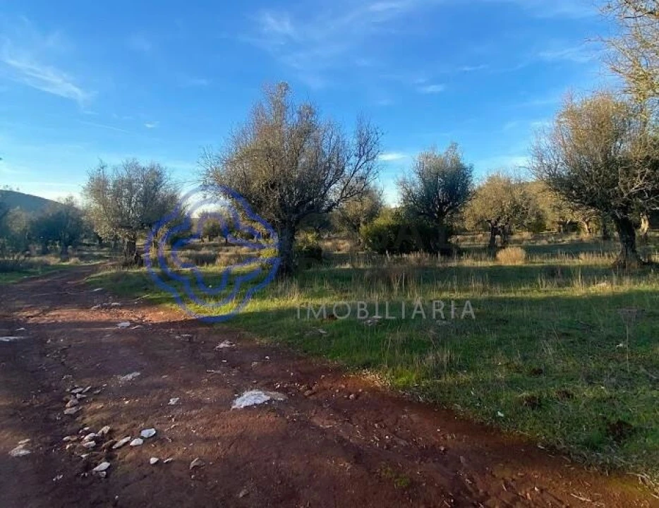 Terreno para Venda em Sousel Foto 22