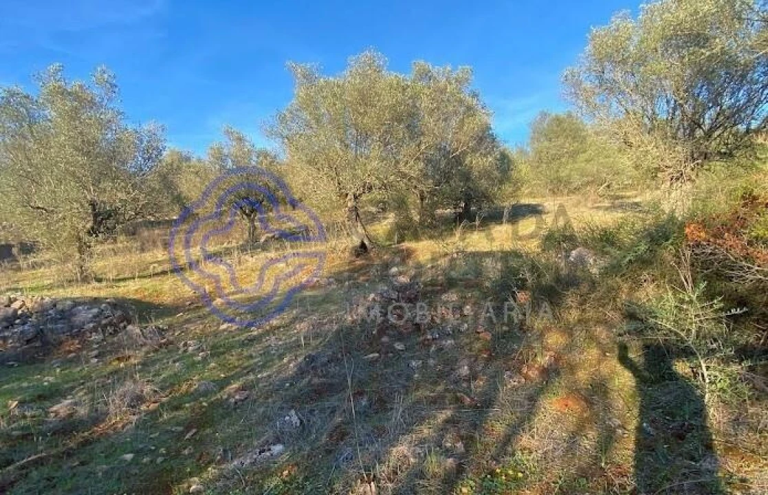 Terreno para Venda em Sousel Foto 18