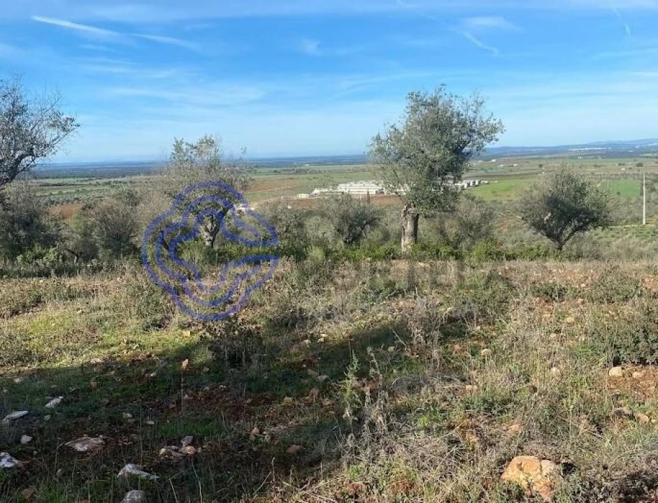 Terreno para Venda em Sousel Foto 12