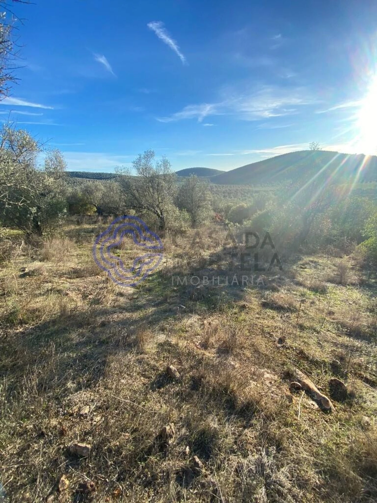 Terreno para Venda em Sousel Foto 40