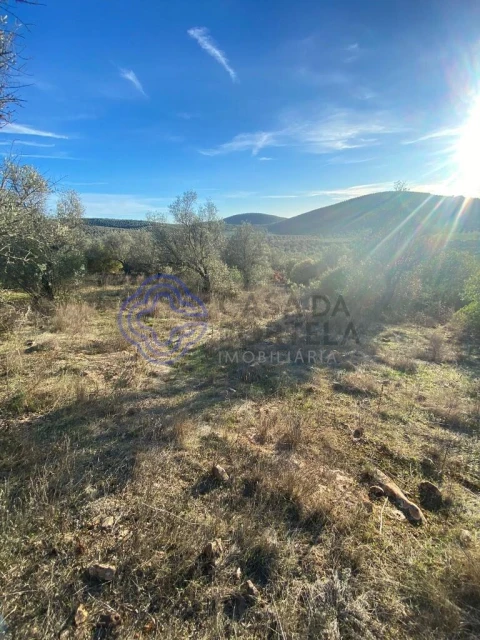 Terreno para Venda em Sousel