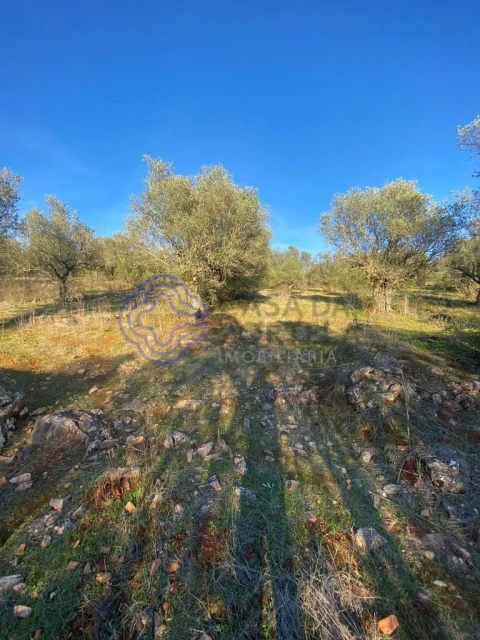 Terreno para Venda em Sousel