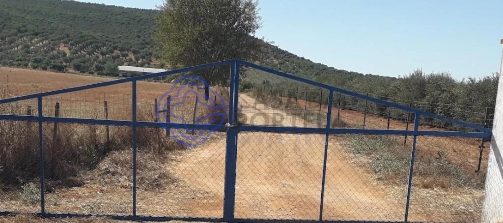 Terreno para Venda em Sousel Foto 3