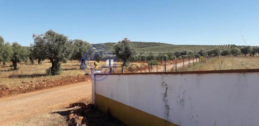 Terreno para Venda em Sousel Foto 6