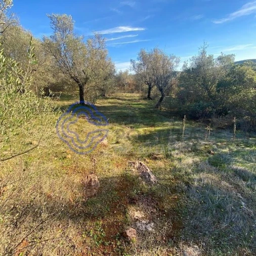 Terreno para Venda em Sousel Foto 16