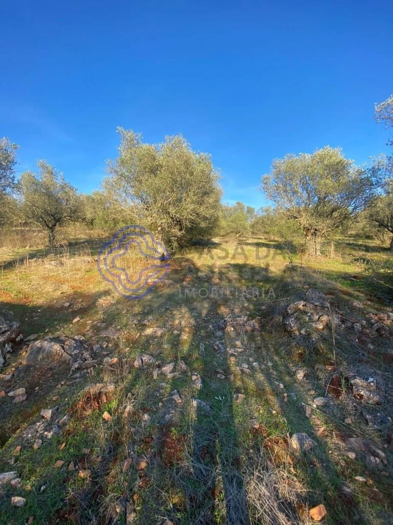 Terreno para Venda em Sousel Foto 39