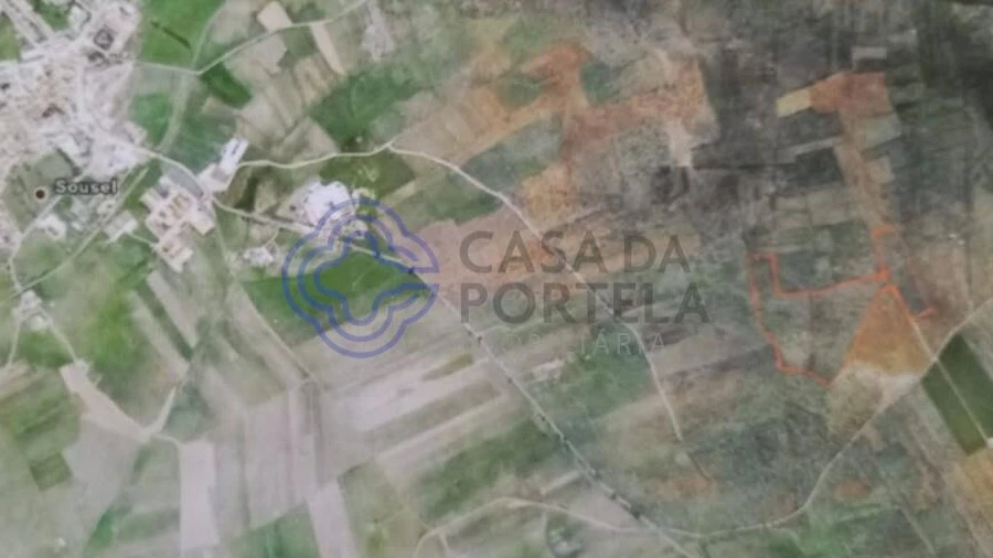 Terreno para Venda em Sousel