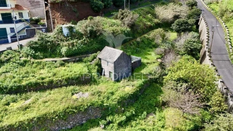Terreno para Venda em Gaula