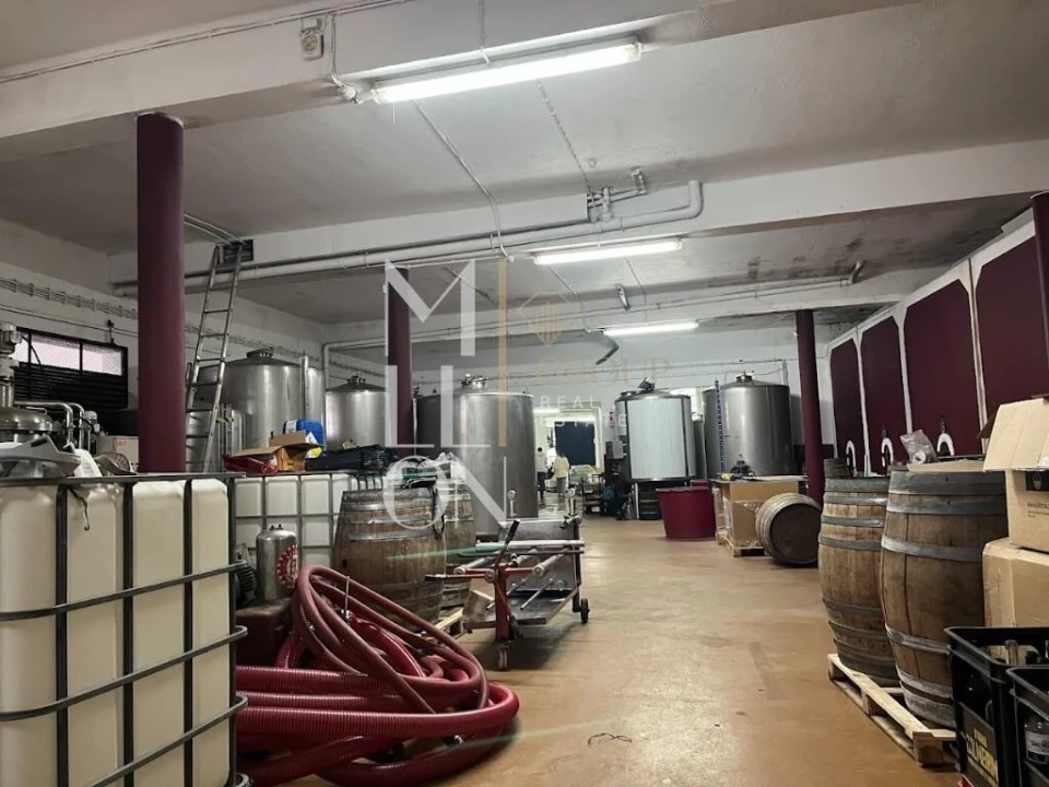 Armazém para Venda em Almeirim Foto 2