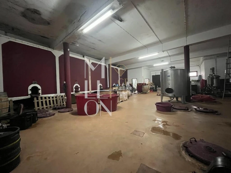 Armazém para Venda em Almeirim Foto 9