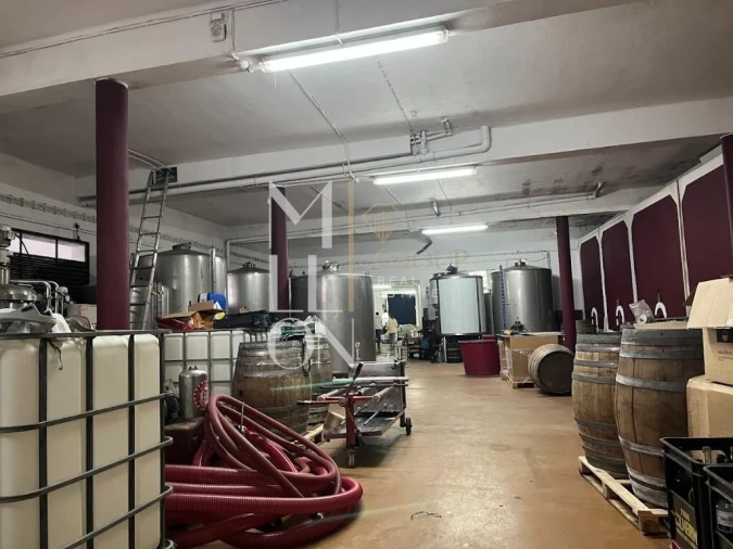 Armazém para Venda em Almeirim Foto 2