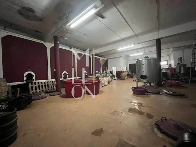 Armazém para Venda em Almeirim Foto 9