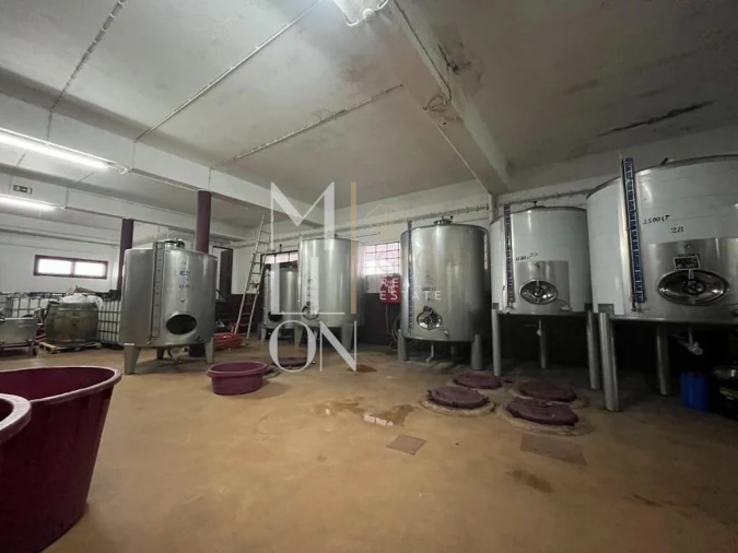 Armazém para Venda em Almeirim Foto 10