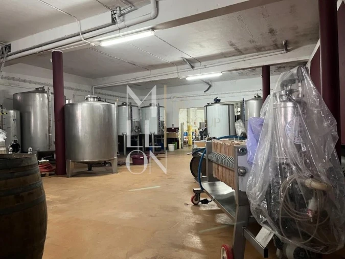 Armazém para Venda em Almeirim Foto 5