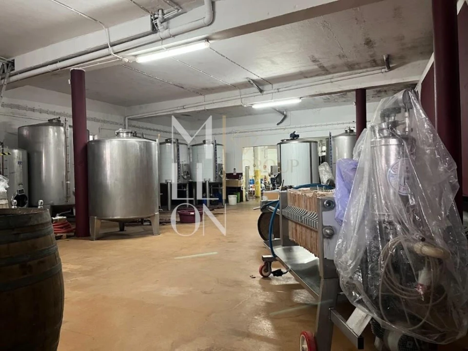 Armazém para Venda em Almeirim Foto 5