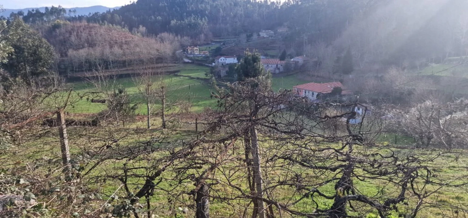 Terreno para Venda em Mosteiro Foto 14
