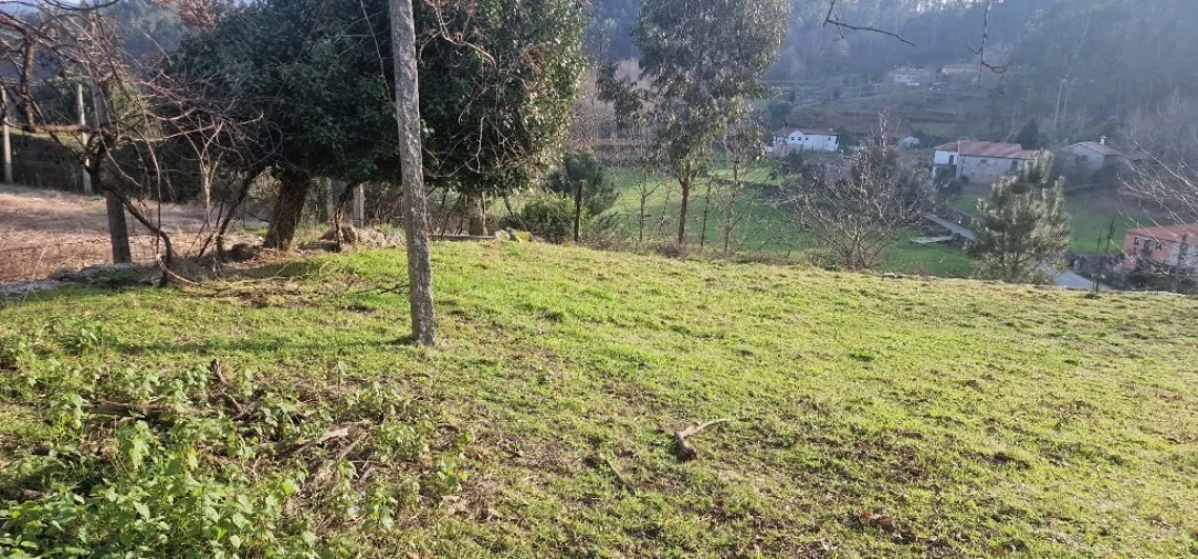 Terreno para Venda em Mosteiro Foto 9