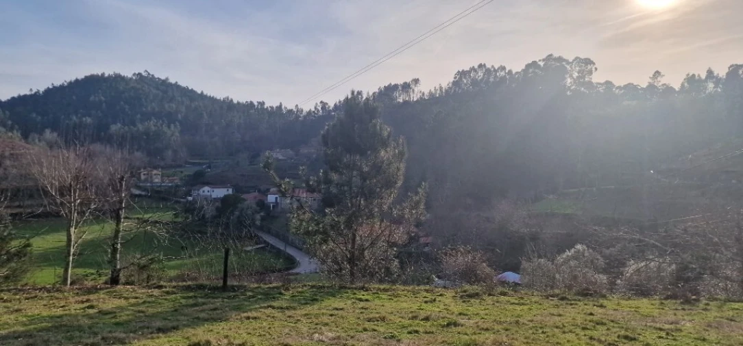 Terreno para Venda em Mosteiro Foto 13