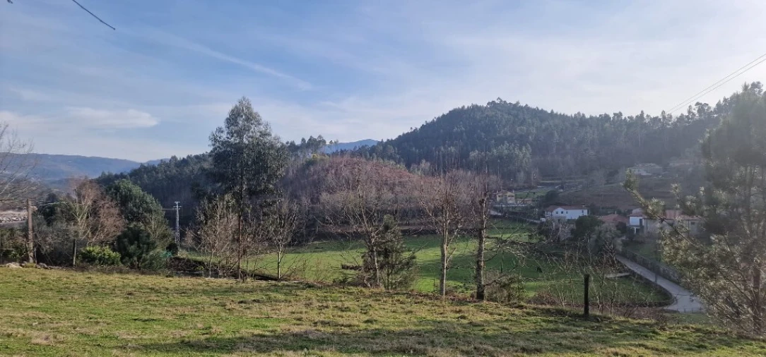 Terreno para Venda em Mosteiro Foto 12