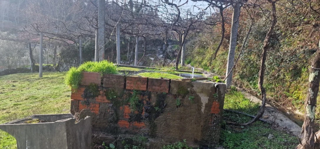 Terreno para Venda em Mosteiro Foto 5