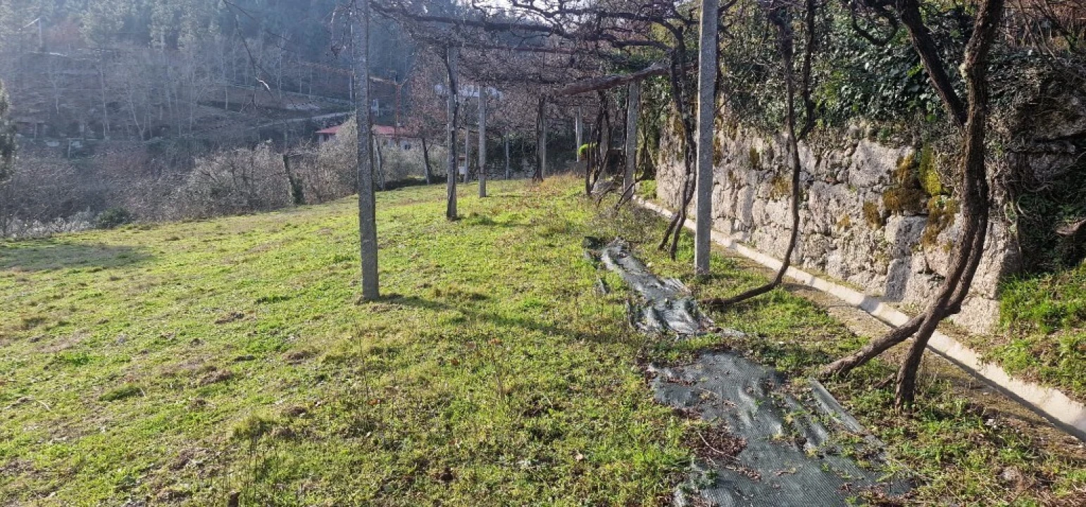 Terreno para Venda em Mosteiro Foto 4