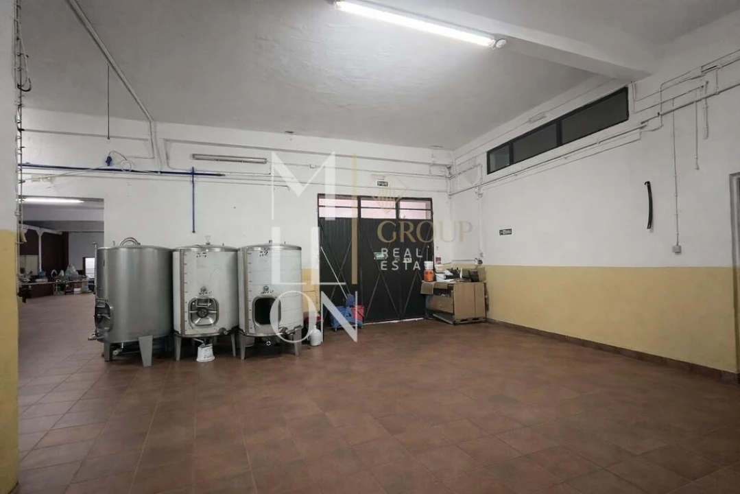 Armazém para Venda em Almeirim Foto 6