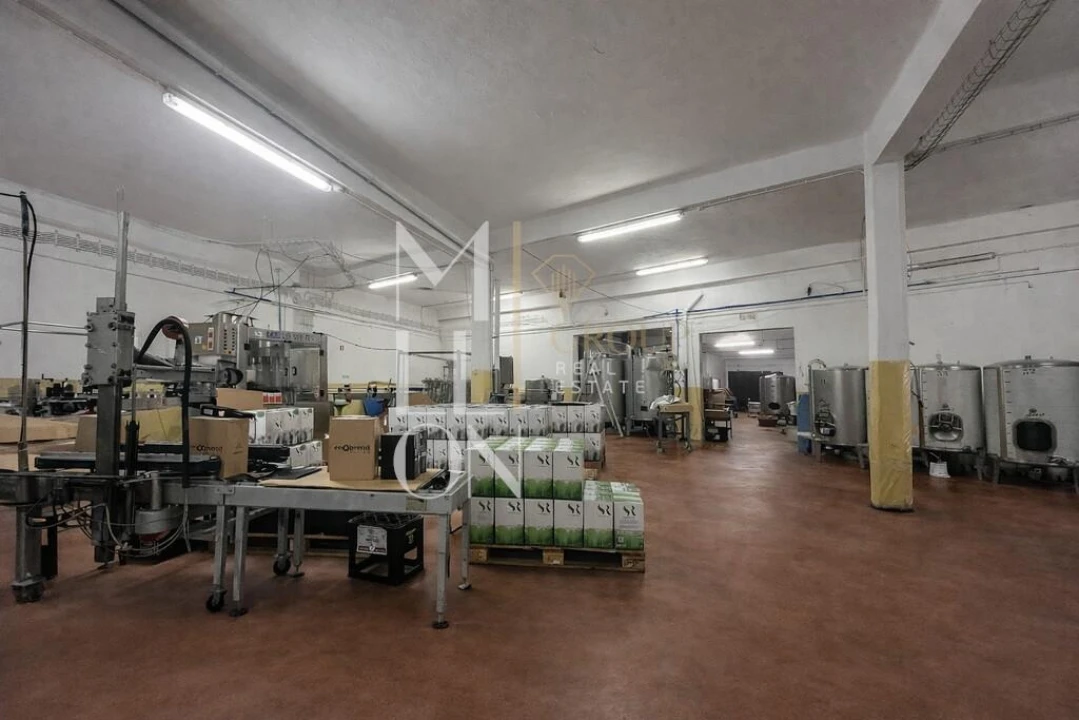 Armazém para Venda em Almeirim Foto 3