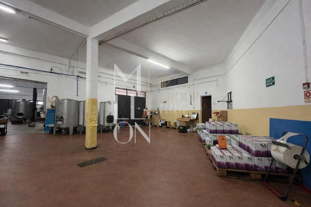 Armazém para Venda em Almeirim Foto 4