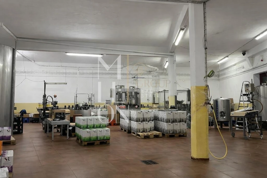 Armazém para Venda em Almeirim Foto 5