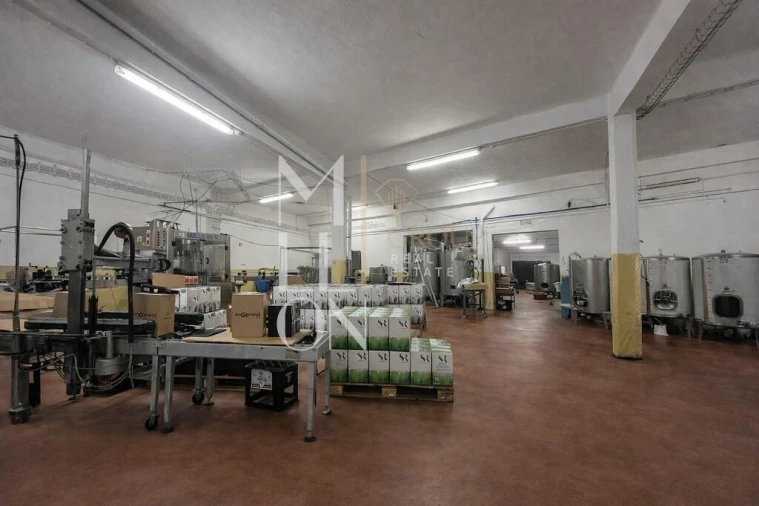 Armazém para Venda em Almeirim Foto 3