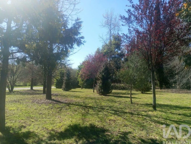 Apartamento T4 para Arrendamento em Vila Nova de Famalicão e Calendário Foto 3