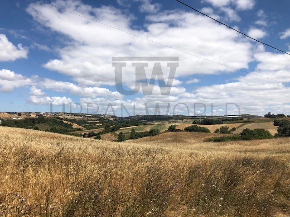 Terreno para Venda em Milharado Foto 13