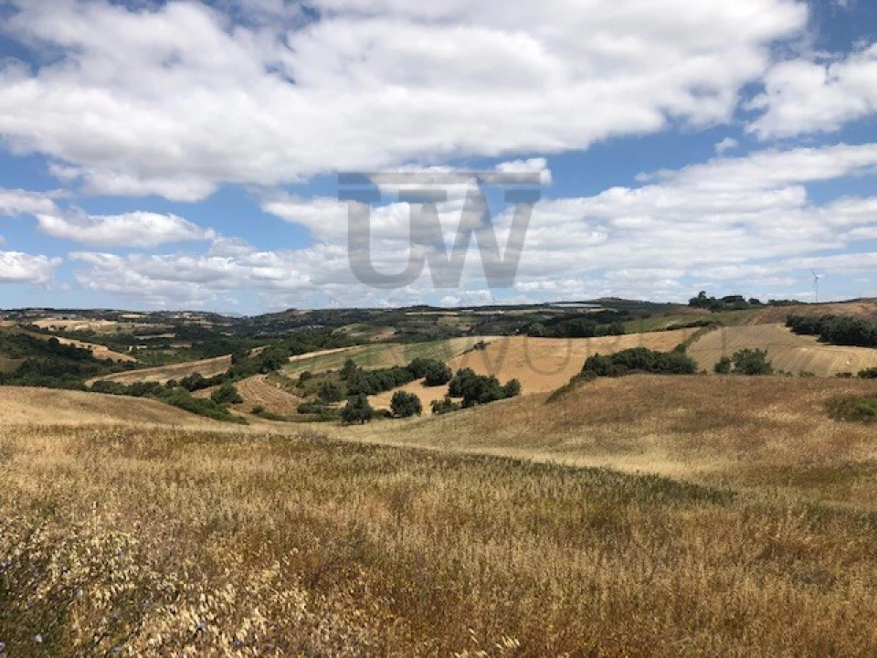 Terreno para Venda em Milharado Foto 15