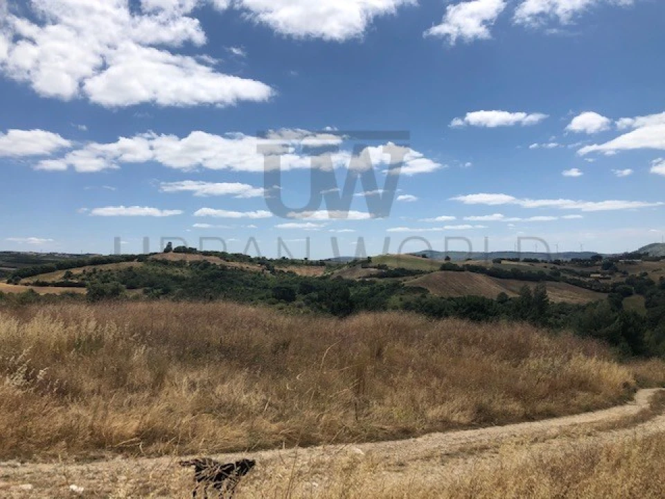 Terreno para Venda em Milharado Foto 16