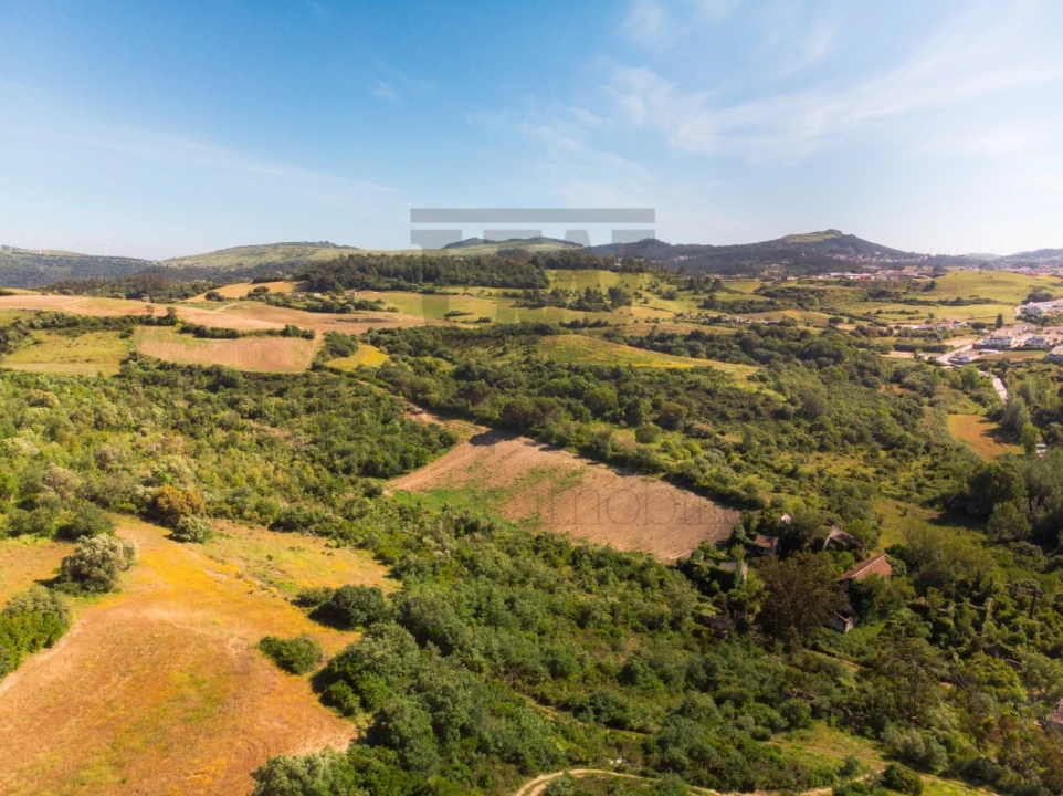 Terreno para Venda em Milharado Foto 7