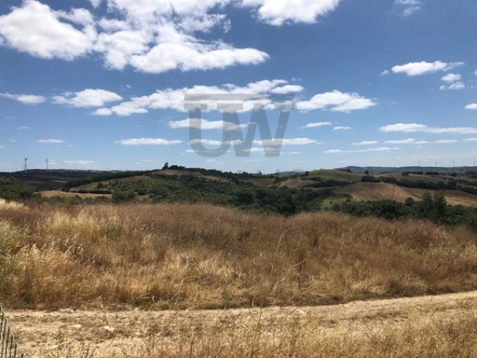 Terreno para Venda em Milharado Foto 18