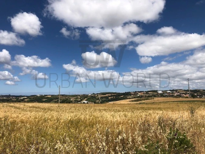 Terreno para Venda em Milharado Foto 14