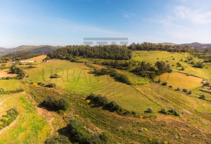 Terreno para Venda em Milharado Foto 5