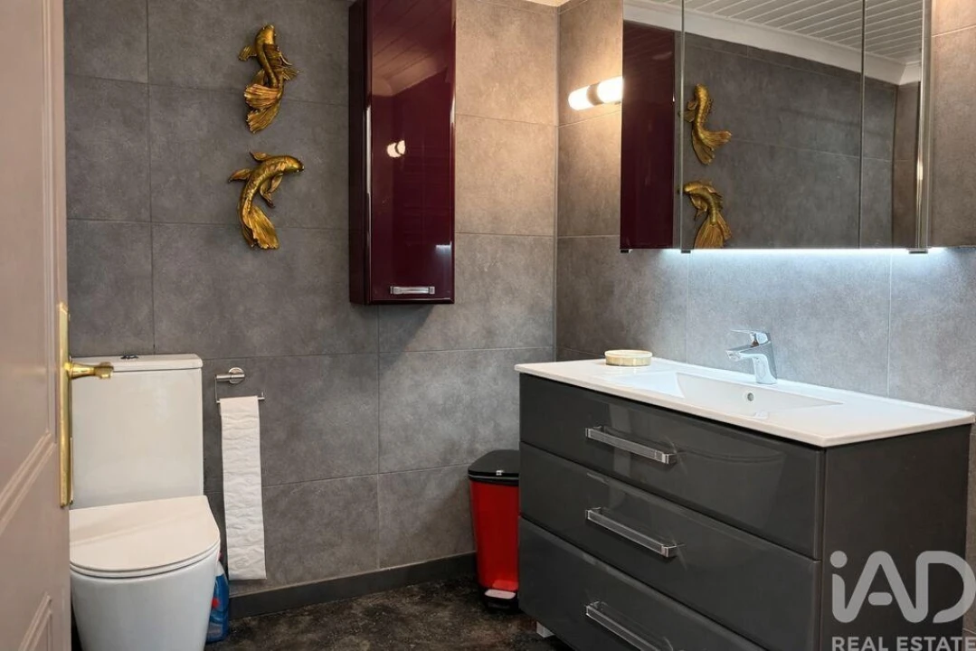 Apartamento T1 para Venda em Guia Foto 14