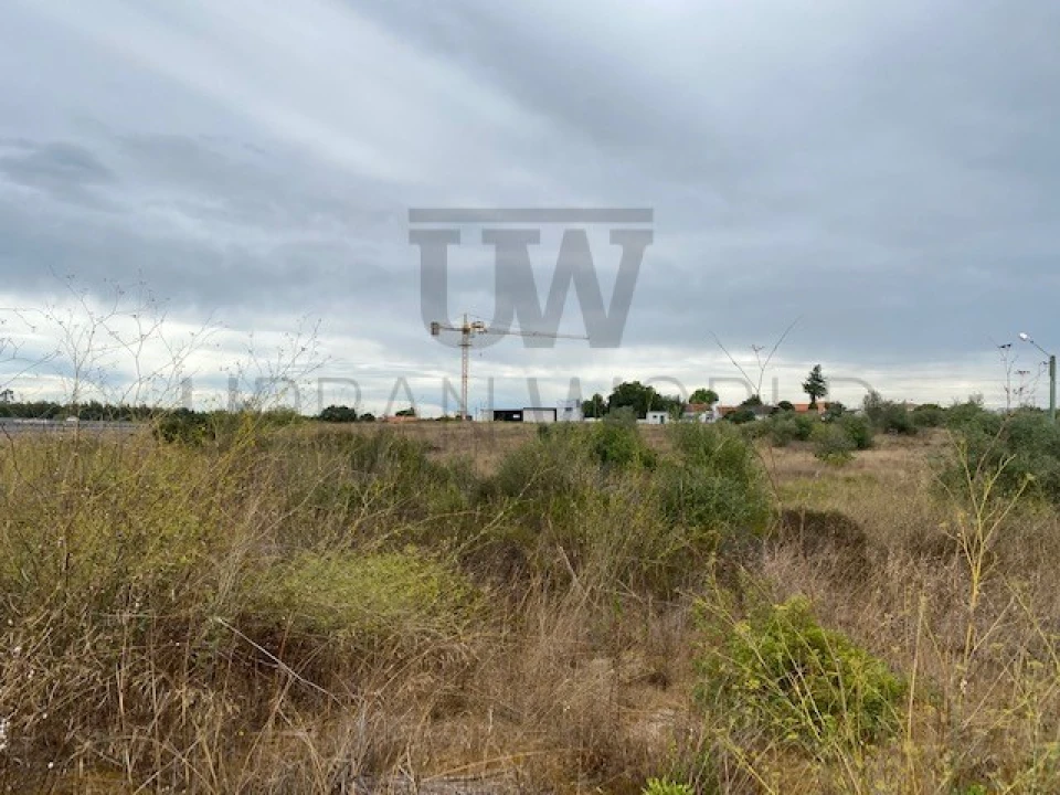 Terreno para Venda em Cartaxo e Vale da Pinta Foto 6