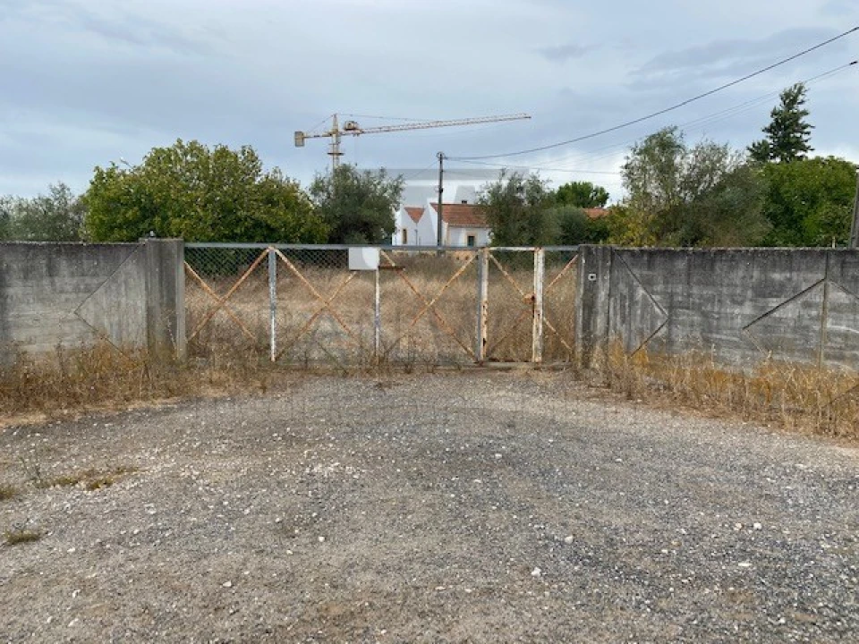 Terreno para Venda em Cartaxo e Vale da Pinta Foto 7