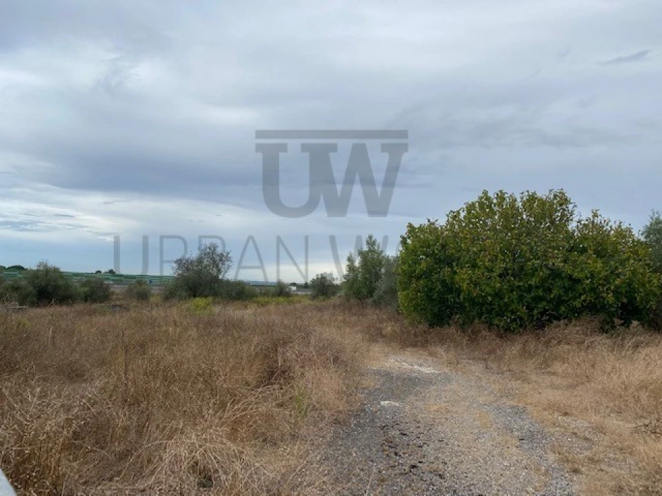 Terreno para Venda em Cartaxo e Vale da Pinta Foto 8