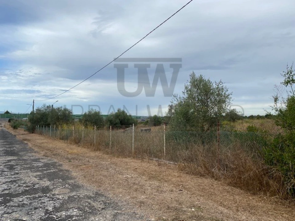 Terreno para Venda em Cartaxo e Vale da Pinta Foto 9