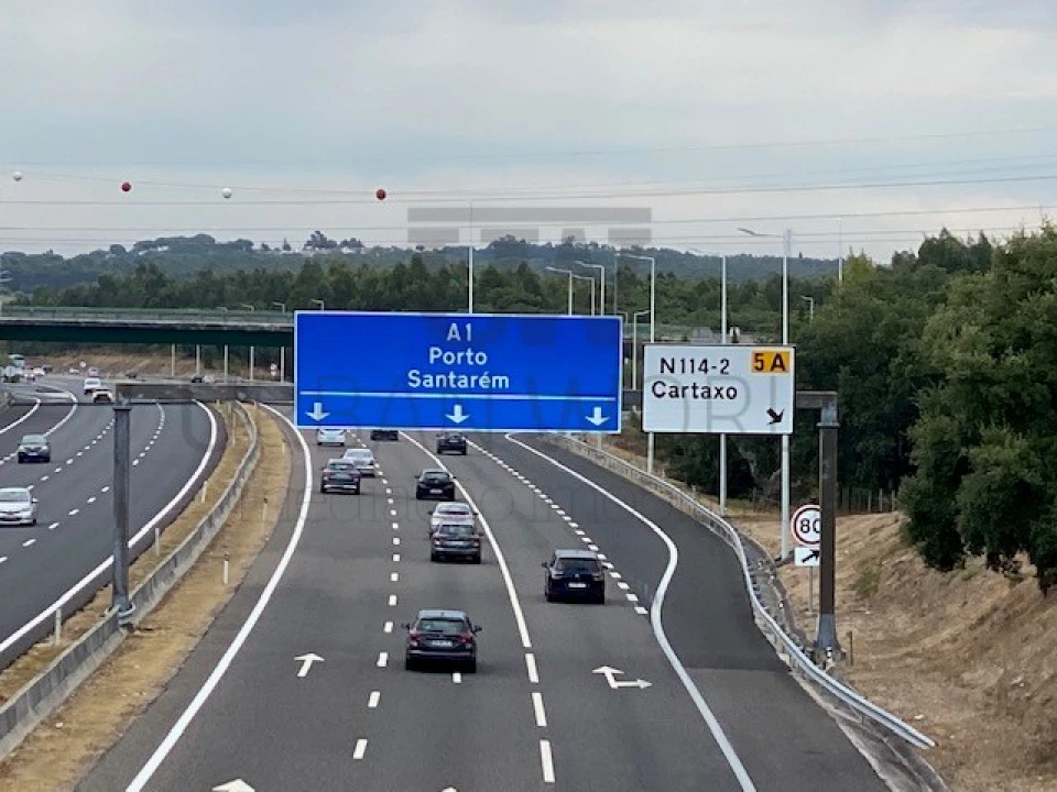 Terreno para Venda em Cartaxo e Vale da Pinta Foto 10