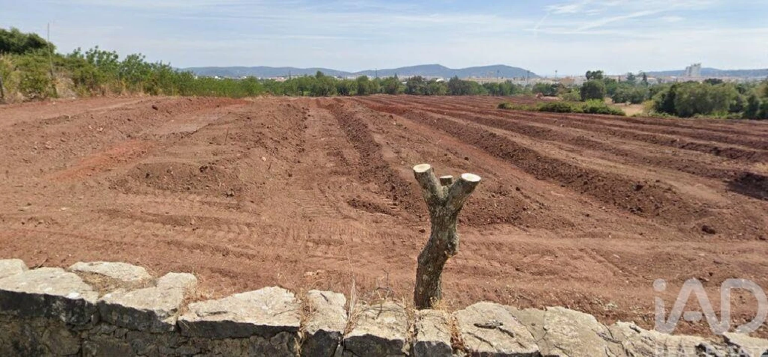 Terreno para Venda em São Brás de Alportel Foto 2