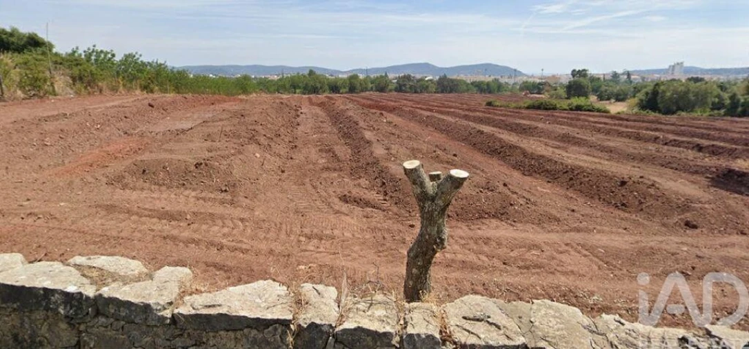 Terreno para Venda em São Brás de Alportel Foto 2